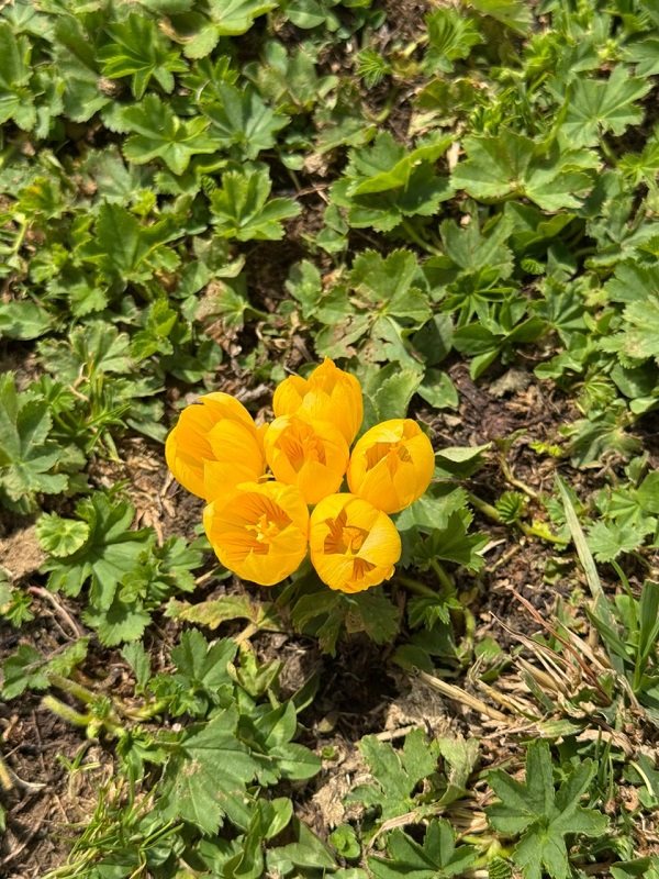 10EA2DD8 63A4 4415 B951 6F5B55B43B95