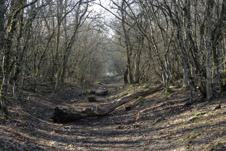 С 1 апреля в Севастополе начинается пожароопасный сезон