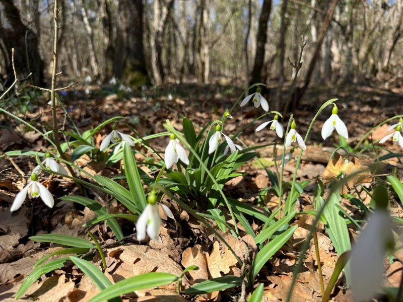 photo 2026 03 12 13 53 40